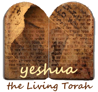 the Living Torah