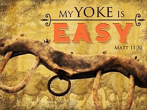 easy yoke