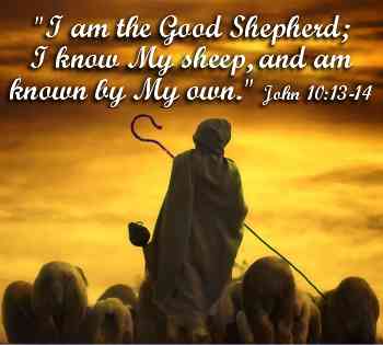 My Sheep Know Me