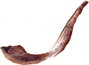 the shofar