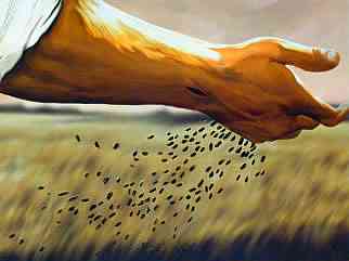 the sower and the seed